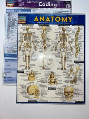5/$25 Anatomy & Medical Coding Reference Folders Laminated